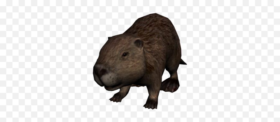 Beaver Red Dead Wiki Fandom - Red Dead Redemption Beaver Png,Beaver Png