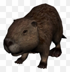 Beaver Red Dead Wiki Fandom - Red Dead Redemption Beaver Png,Beaver Png
