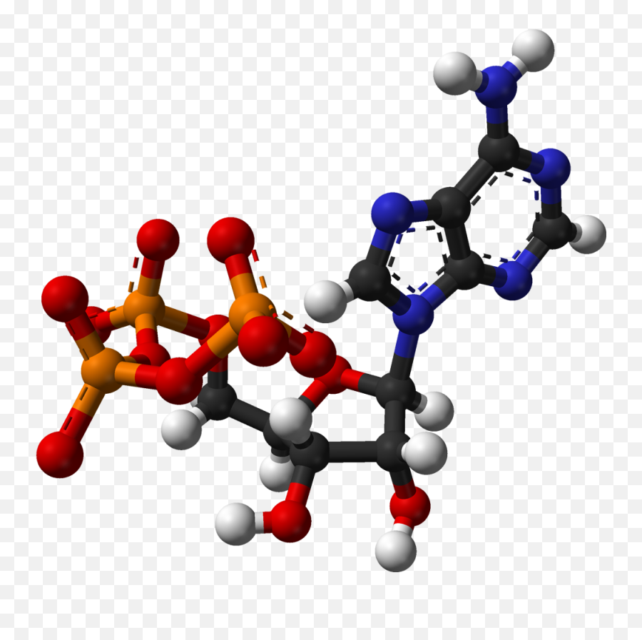 Fileatp Ballandstickpng - Chemprime Atp Structure 3d,October Png