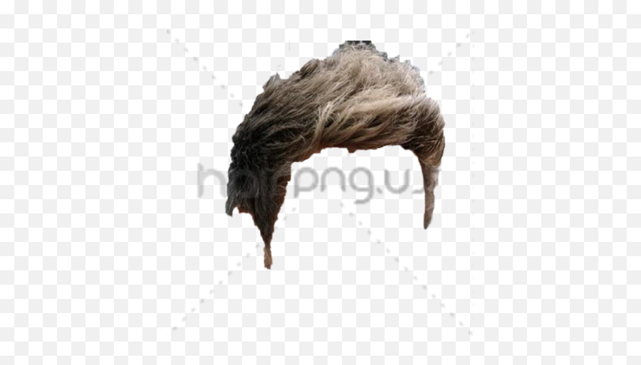 Hairpng Hair Style Png - Hair Design,Hair Style Png