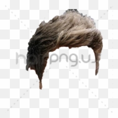 Hairpng Style - Design
