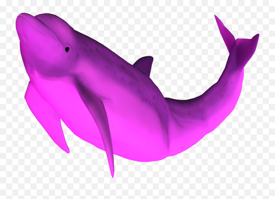 3d Dolphin Png 3 Image - Pink Dolphin Png,Dolphin Transparent Background