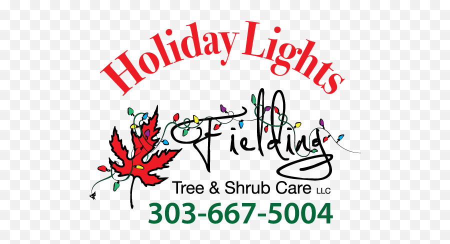 Final - Artforholidaylights Fielding Tree And Shrub Care Shanghai Daily Png,Holiday Lights Png