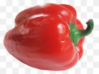 Bell Pepper Transparent Png Clipart