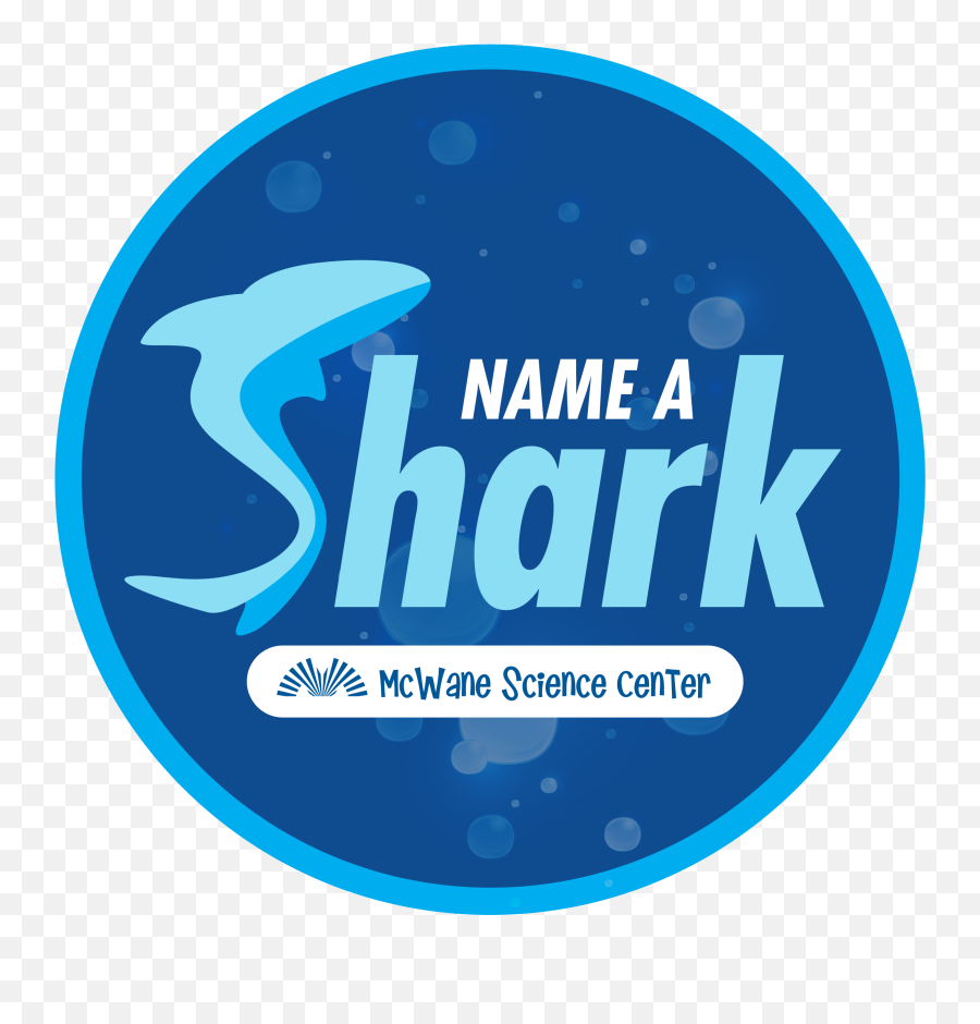 Name A Shark - Language Png,Shark Logo Brand
