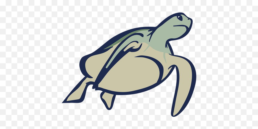 Turtle Swimming Flat - Transparent Png U0026 Svg Vector File Sea Turtle Contents Png Clipart,Turtles Png