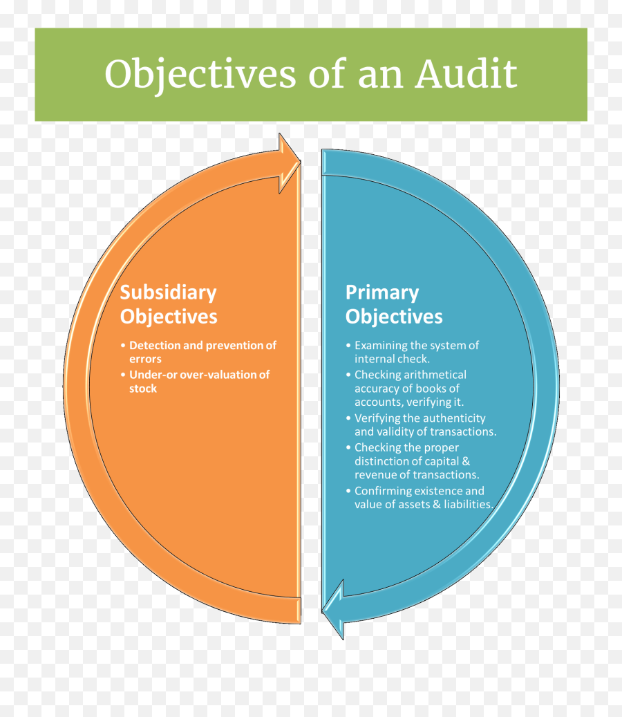Objectives Of An Audit Explained With Chart - Objective Of Audit Programme Png,Objective Png