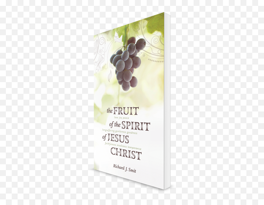 Fruit Of The Spirit Jesus Christ - Diamond Png,Christ Bearer Icon