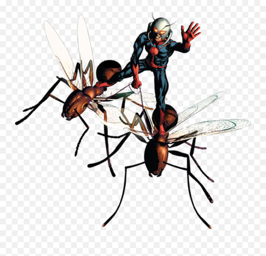 Download Ant Man Png Picture - Cartoon Ant Man Ant,Antman Png