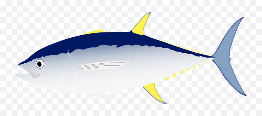 Tunas Fish Clipart Png Transparent