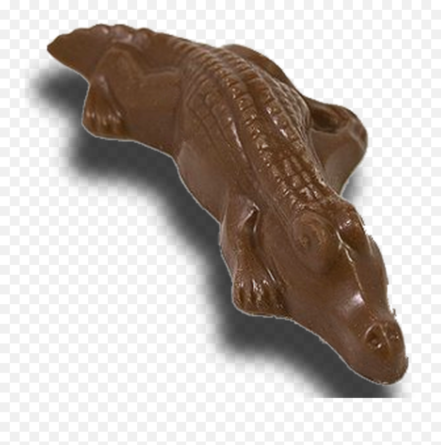 Chocolate Mini Gator - Chocolate Png,Gator Png
