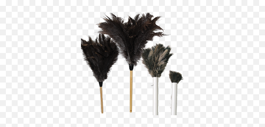 Ostrich Feather Dusters - Retractable Feather Duster Png,Duster Icon