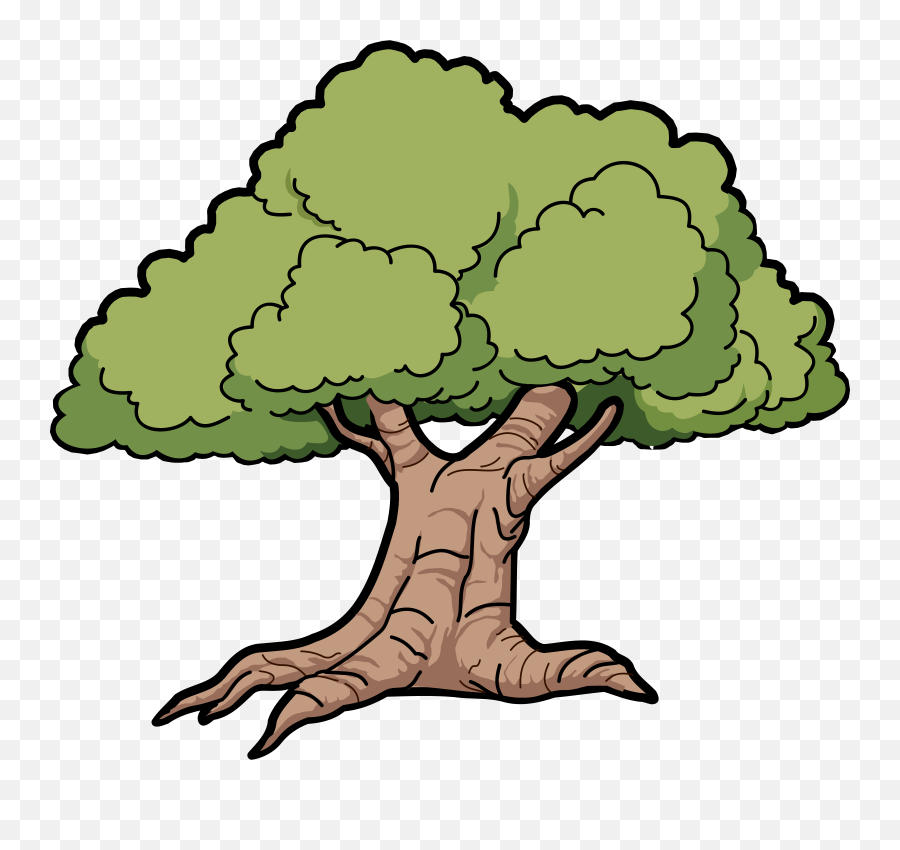 Rainforest Clipart Canopy - Narra Tree Clipart Png,Tree Canopy Png