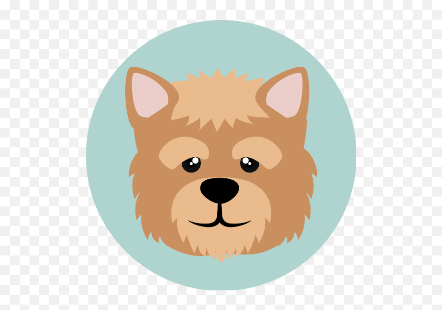 Iconsy U2013 Canva - Northern Breed Group Png,Fox Face Icon