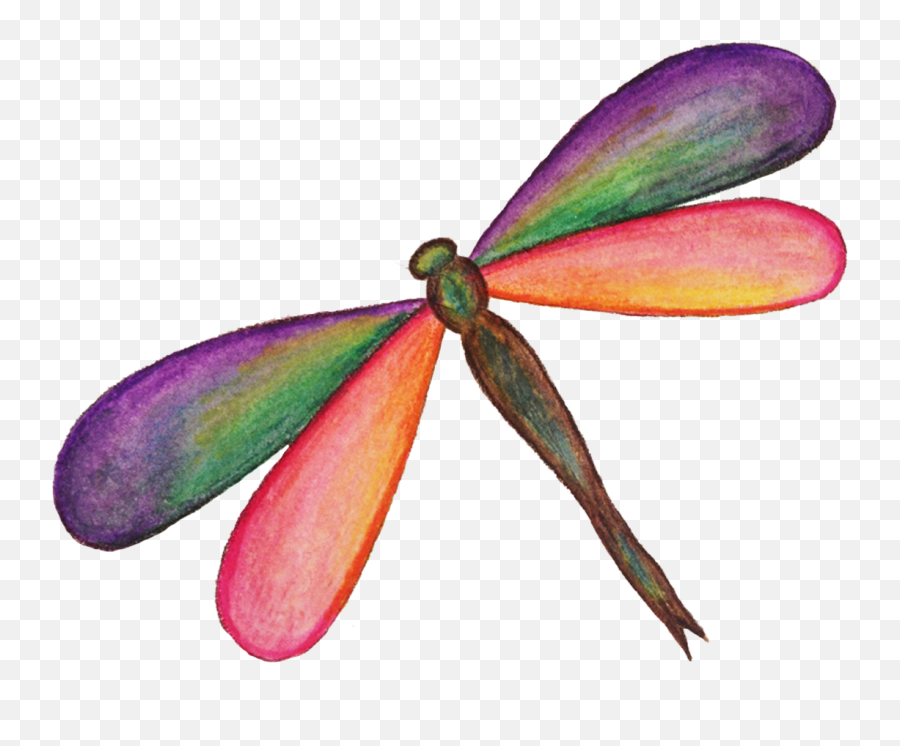 Download Dragonfly Png Hd - Portable Network Graphics,Dragonfly Png