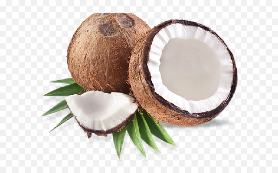 Coconut Png Transparent Images 8 - Coconut,Coconut Png