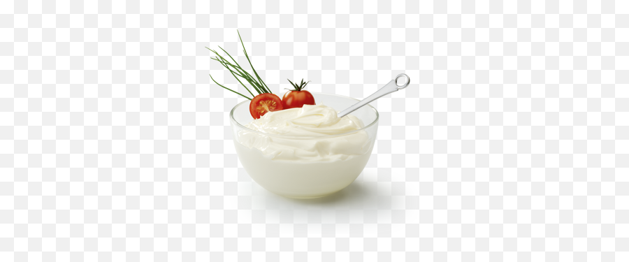 Mayonnaise - Burger Mayonnaise Manufacturer From Mathura Aderezo Png,Mayonnaise Png