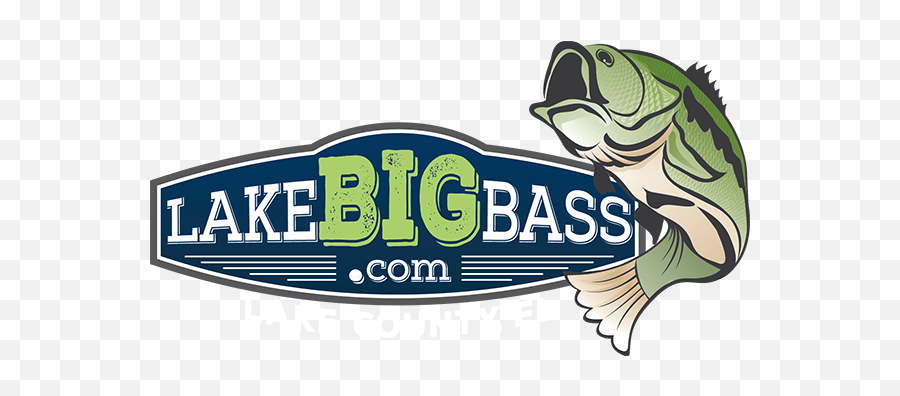 Fishing - Lake County Florida Real Florida Real Close Illustration Png,Bass Fish Png
