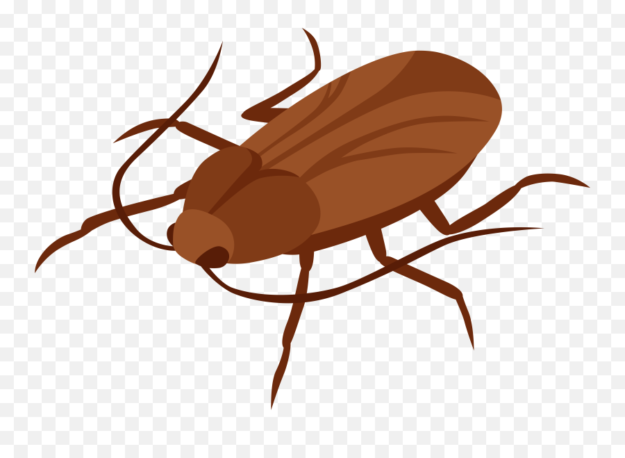 Images Vector Download Png Files - Cockroach Clipart Png,Roach Png