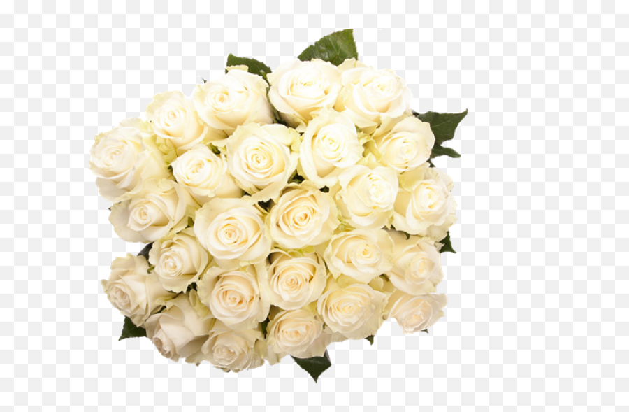 A Bouquet Of White Roses - Flower Bouquet Png,White Roses Png