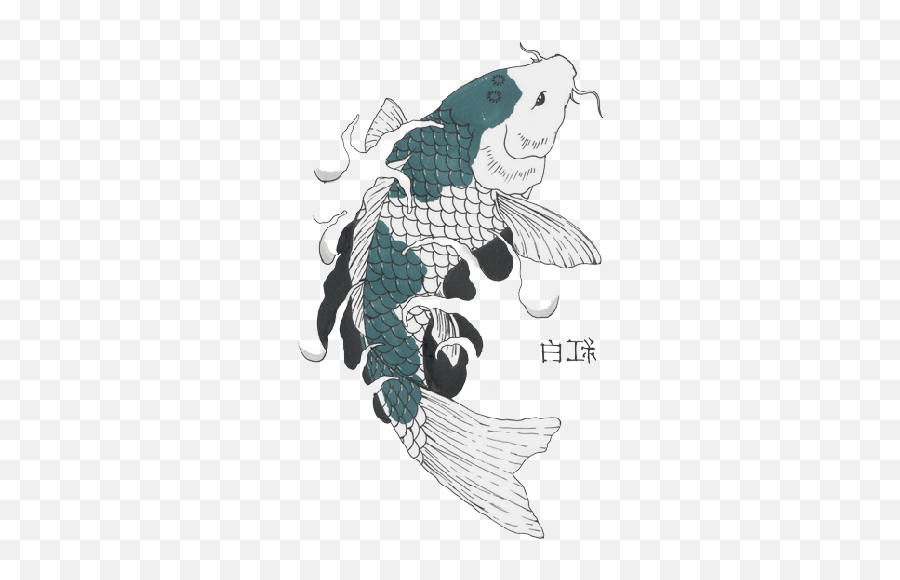 Download Koi Flipped - Koi Fish Drawings Full Size Png Illustration,Koi Fish Png