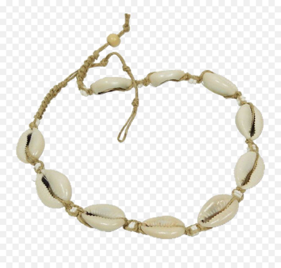 Pearlnecklace Necklace Shell Vsco Basic - Puka Shell Necklace Png,Necklace Transparent Background