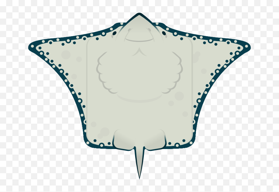 Why Eagle Ray Should Be Its Own Animal And Not A Skin Part - Clip Art Png,Eagle Transparent Background