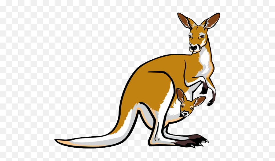 Joey Kangaroo Transparent Background - Kangaroo Illustration Png,Kangaroo Transparent
