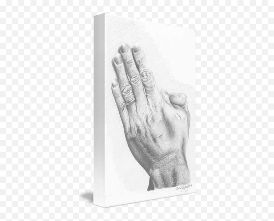 Praying Hands By Sherie Griffith - Paper Png,Praying Hands Transparent