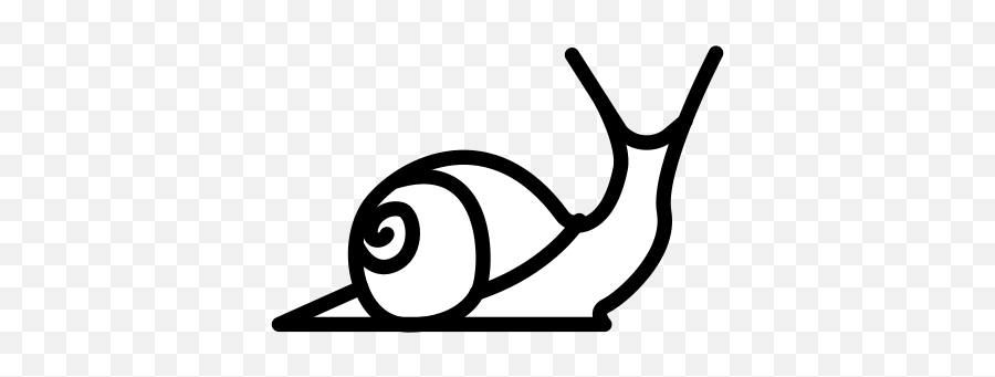 Snail Free Icon Of Selman Icons - Schnecke Icon Png,Snail Png