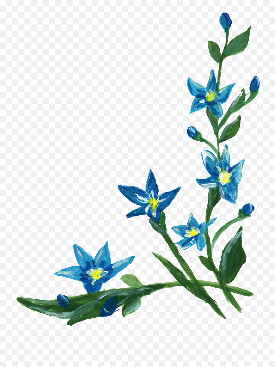 Elegant Blue Flower Corner Border Design By Blaire