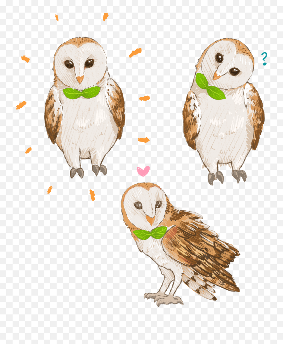 Barn Owl Glitter Acrylic Charms Png