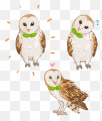 Barn Owl Glitter Acrylic Charms Png