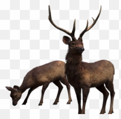 Dogs And Puppies U2013 Gameznet Royalty Free Stock Media - Sambar Far Cry 4 Png,Deer Transparent Background