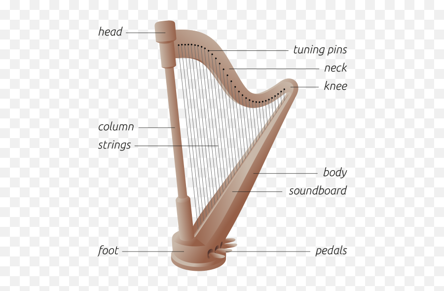 Whatu0027s The Difference Between A Harp Lyre Lute And - Harp Diagram Png,Lute Png