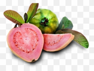 Guava Background Png Image Play - Guava Cosmetics,Guava Png