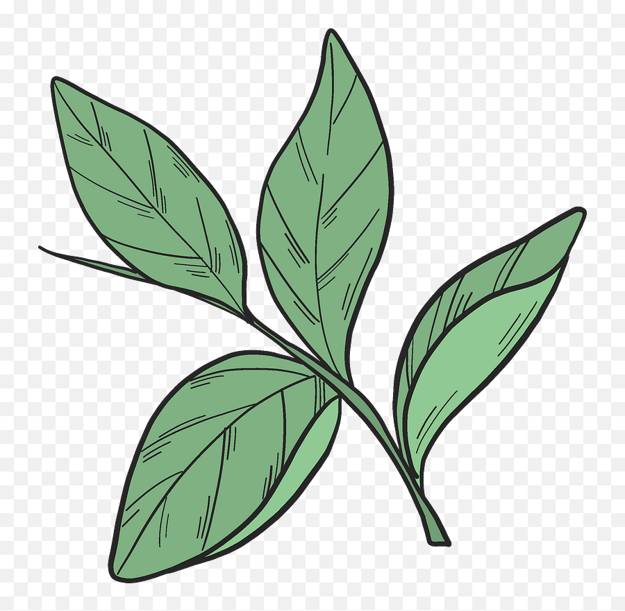 Blueberry Leaves Clipart Free Download Transparent Png - Leaves Clipart,Transparent Leaves