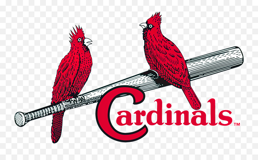 St - St Louis Cardinals Logo History Png,Cardinal Baseball Logos