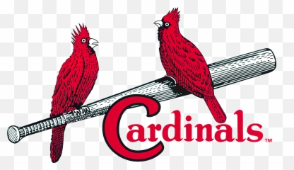 St - St Louis Cardinals Logo History Png,Cardinal Baseball Logos
