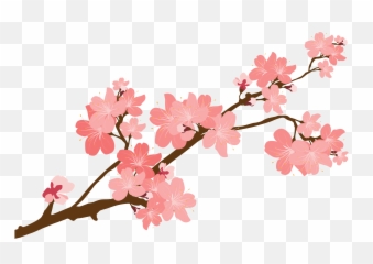 Cherry Blossom Clipart - Tree Branch png