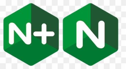 Setting Up Nginx - Nginx Logo Png Transparent