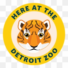 Devereaux Tiger Forest Colorbox - Big Png,Bengal Tiger Icon