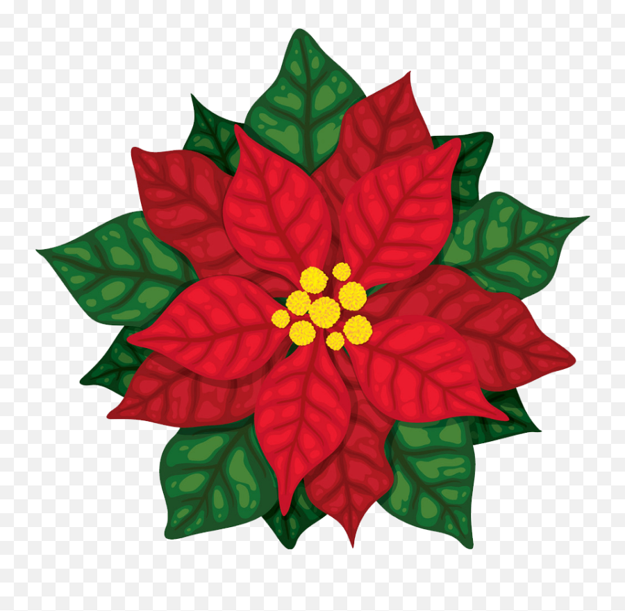 Poinsettia Clipart - Clipartworld Poinsettia Png,Poinsettia Icon Png