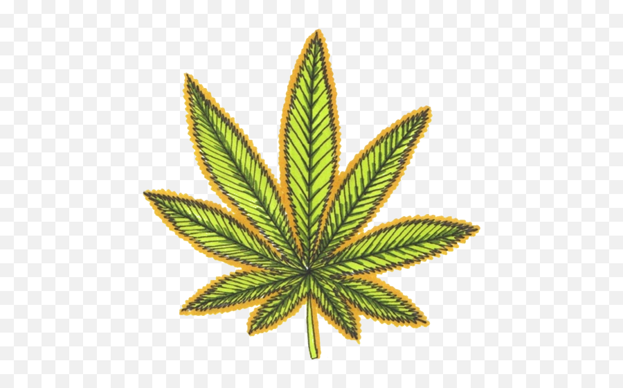 Weed Leaf Transparent Png - Cannabis Leaves Black Weed Leaf Weed Logo,Pot Leaf Transparent Background