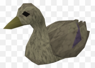 Duck - The RuneScape Wiki Runescape png