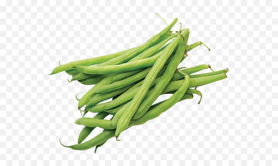Green Beans - Green Beans White Background Png,Green Beans Png - free ...