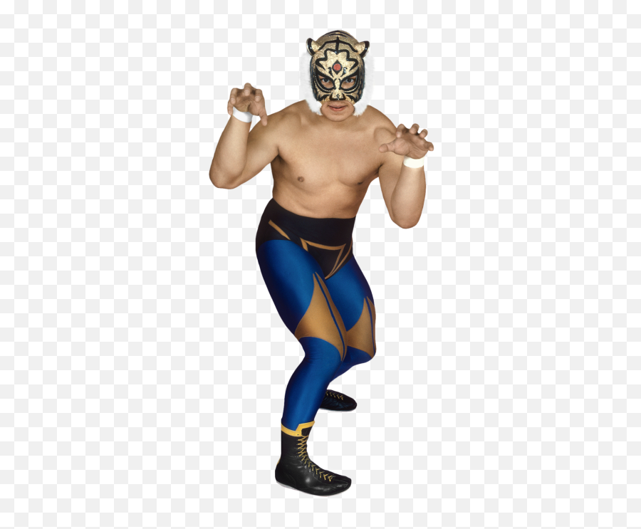 Tiger Mask Wwe - Fictional Character Png,Pro Wrestling Icon