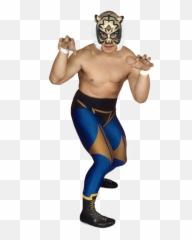 Tiger Mask Wwe - Fictional Character Png,Pro Wrestling Icon