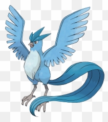 Eli Rate That Pokemon Page 62 - Articuno Pokemon Png,Pidgeot Png