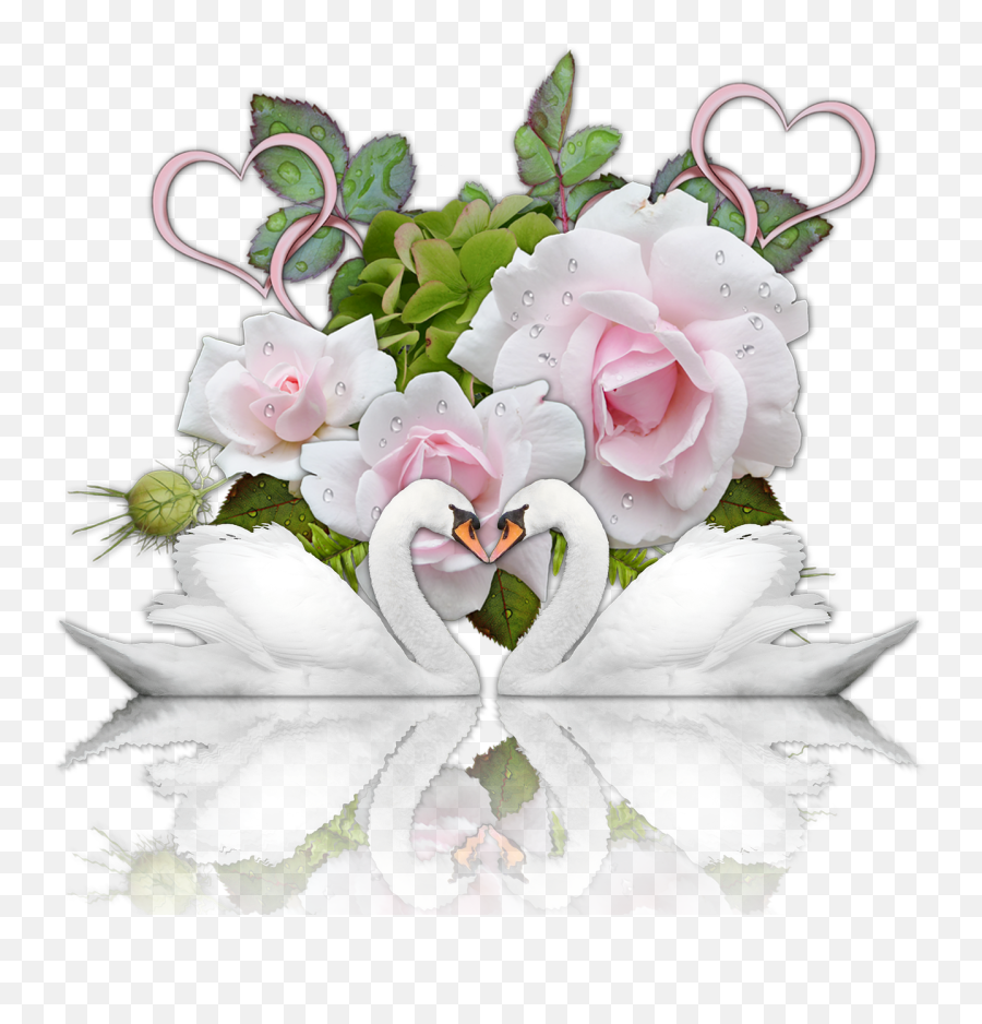 Wedding Heart Png - Wedding Romance Heart Swans Roses Today Should Be Your Wedding Day Poem,Rose Heart Png